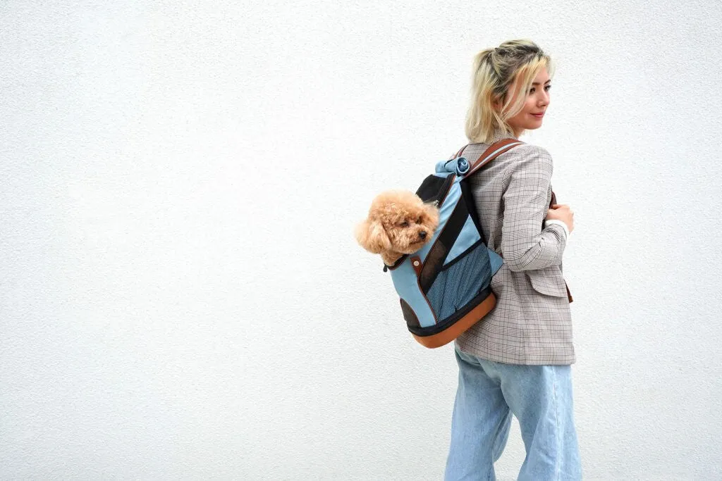 Ibiyaya Denim Fun Lightweight Pet Carrier Dog Backpack 2.0